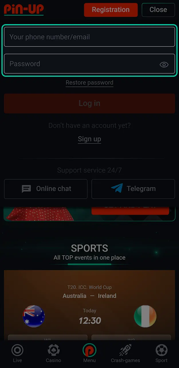 Provide your private info to complete the Pin-Up login process.