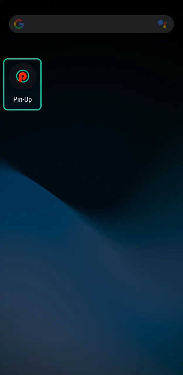 Open the mobile app and enter your login details for Pin-Up Aviator.