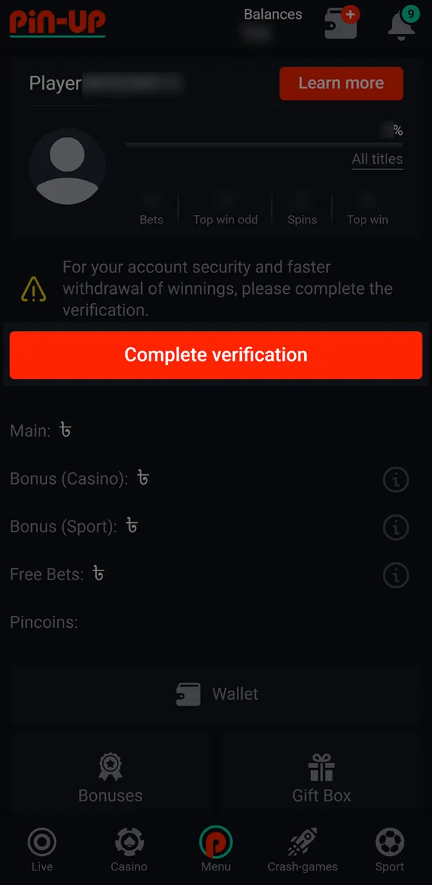 Finish the security verification to ensure safe Pin-Up cricket betting payouts.