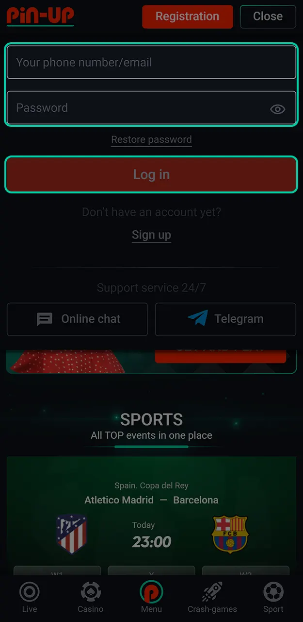 Enter your credentials to access Pin-Up cricket odds.