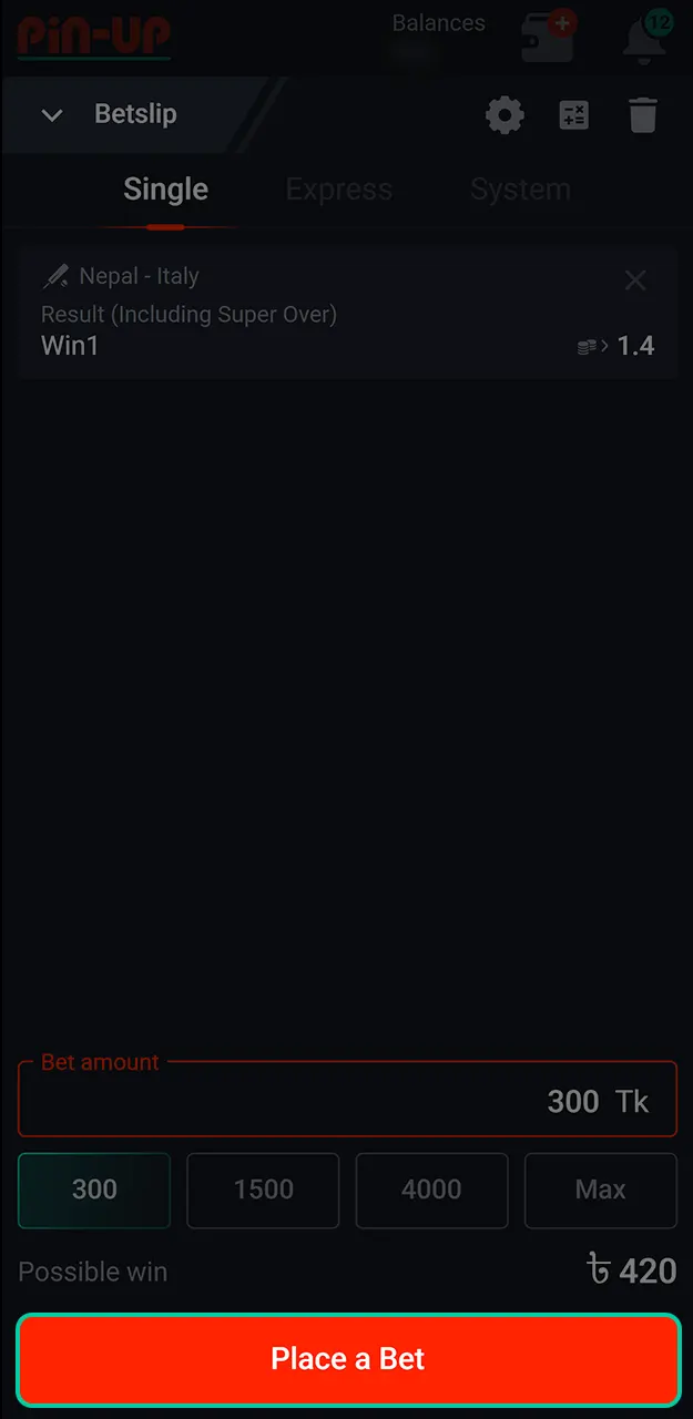 Confirm your live cricket bet on Pin-Up.