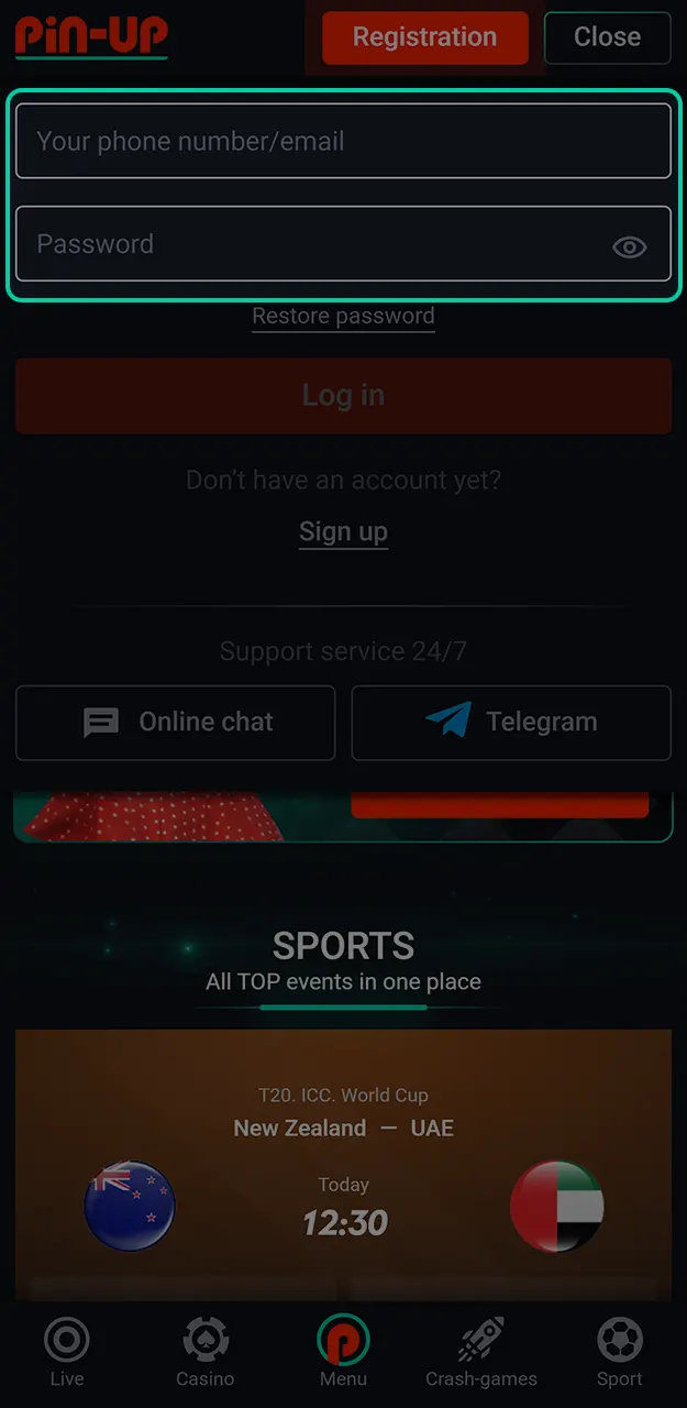 Provide your credentials to successfully complete your Pin-Up login.