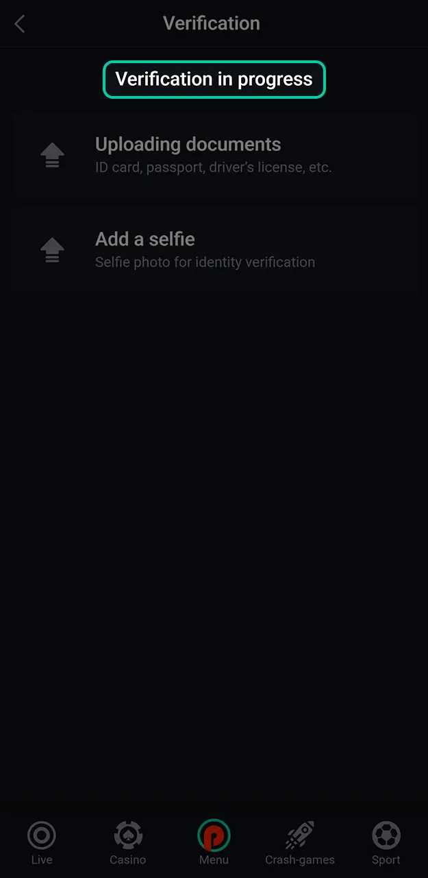 Stay updated on the progress of your official Pin-Up verification request.