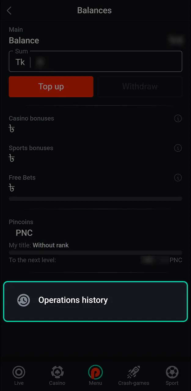 Track your request until the Pin-Up withdrawal amount is credited to your wallet.