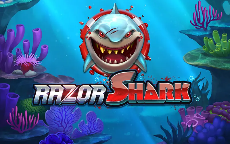 Register at Pin-Up to play the Razor Shark game.