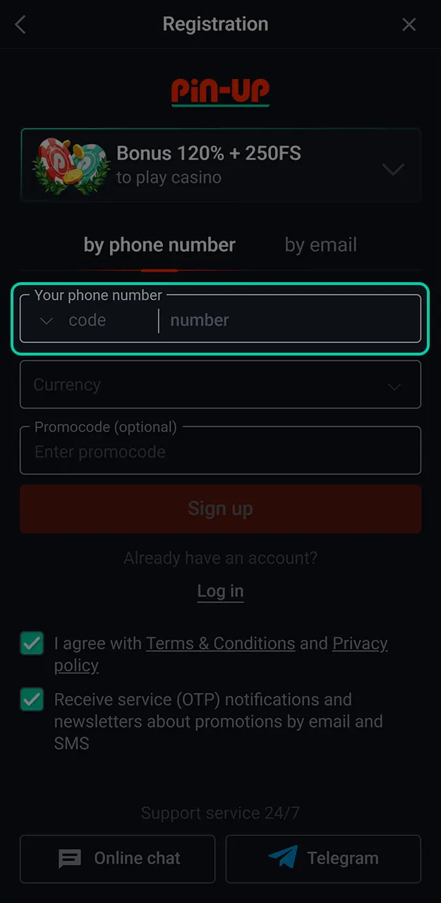 Enter your personal information to continue registering with Pin-Up.
