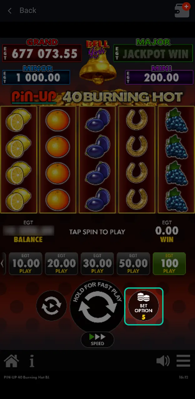 Set the bet amount for one spin of the slot at Pin-Up.
